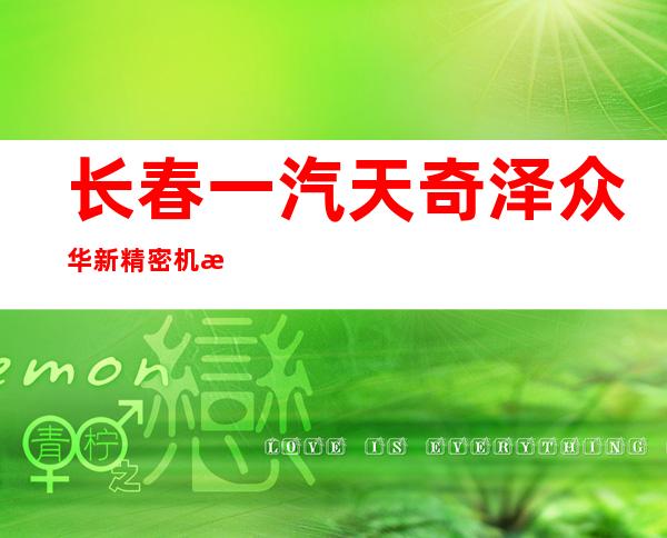 长春一汽天奇泽众华新精密机械有限公司